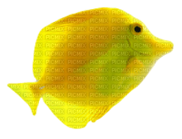 Fish.Yellow - zdarma png