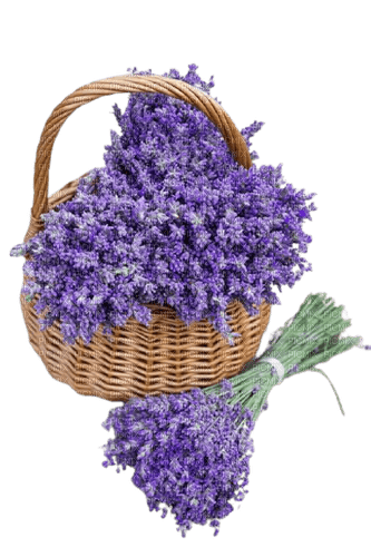 basket with lavender - nemokama png