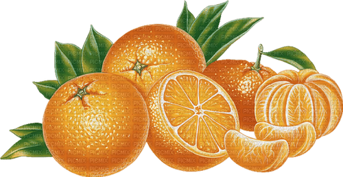 oranges Bb2 - png grátis