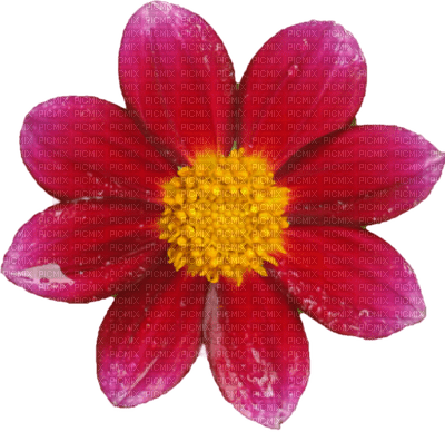 Kaz_Creations Deco Flowers Flower Pink - PNG gratuit