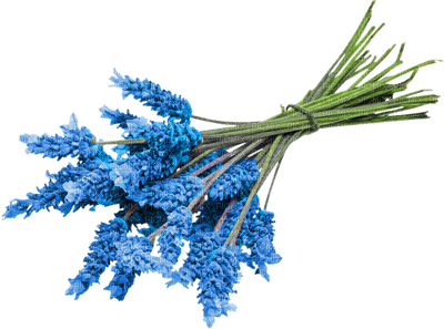 Kaz_Creations  Deco Baby Blue Flowers - png gratuito