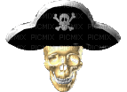pirate skull - Gratis geanimeerde GIF