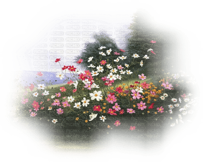 flowers meadow deco - Free PNG