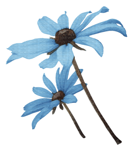 Fleurs.Blue flower.Victoriabea - фрее пнг