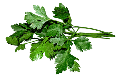parsley, persikka - PNG gratuit