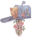 chaton dans une boite aux lettres - Безплатен анимиран GIF