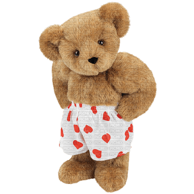 Teddy bear - Free PNG