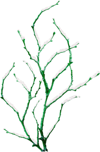 Winter.Tree.Green.White - δωρεάν png