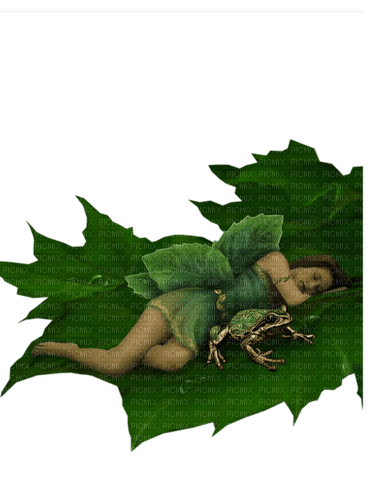 dolceluna woman fantasy frog summer spring - безплатен png