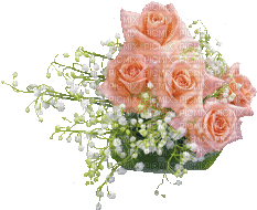 roses -c - Безплатен анимиран GIF