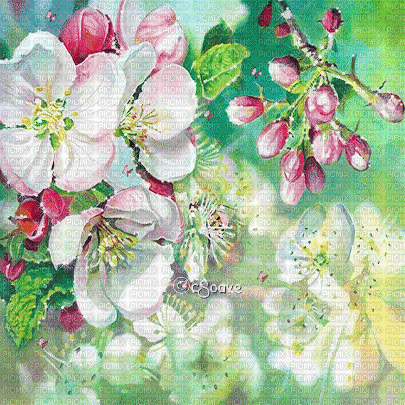 soave background animated spring vintage flowers - Darmowy animowany GIF