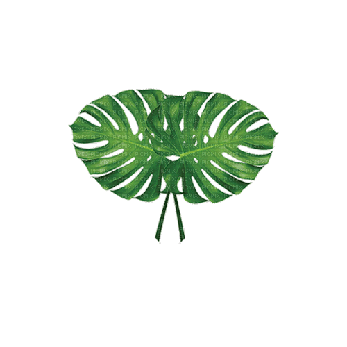 Par de hojas - Бесплатный анимированный гифка