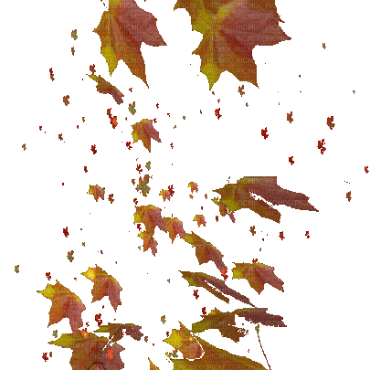 leaves blatt fall autumn feuille leaf - GIF animé gratuit