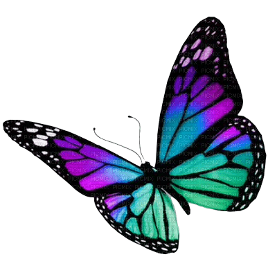 butterfly dolceluna deco scrap png spring - Free PNG
