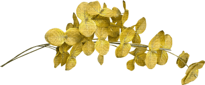 lila-blomma-minou52 - PNG gratuit