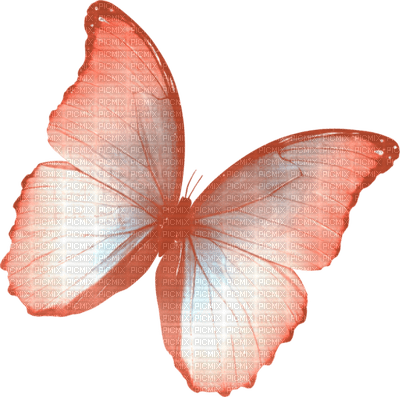 All  my butterflys - darmowe png