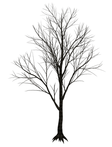 Деревья - ücretsiz png