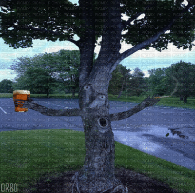 albero - Gratis animeret GIF