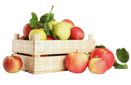 apple,tree,vase - png grátis