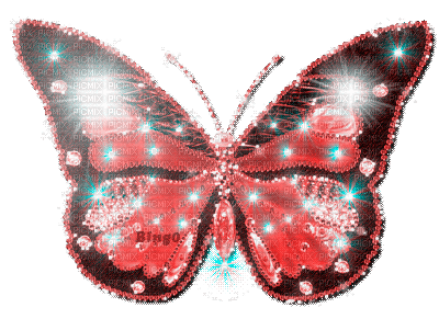Y.A.M._Summer Flowers Decor butterflies - 免费动画 GIF