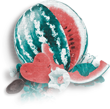 soave deco summer watermelon teal pink - png ฟรี