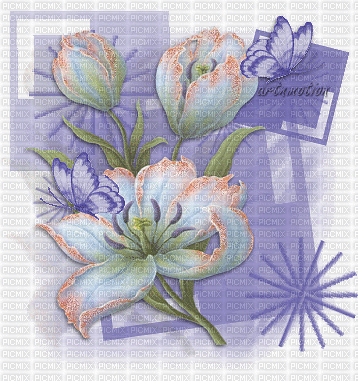 Background Violet White Gif - Bogusia - Bogusia - 無料のアニメーション GIF