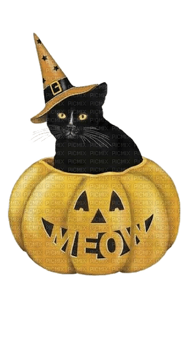 Halloween, Katze, Cat, Kürbis, Pumpkin - фрее пнг