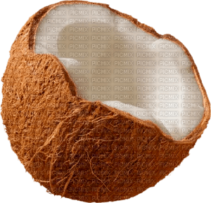 coconut Bb2 - kostenlos png