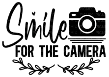 smile for the camera text - бесплатно png