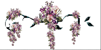 fleur violette.Cheyenne63 - Бесплатный анимированный гифка