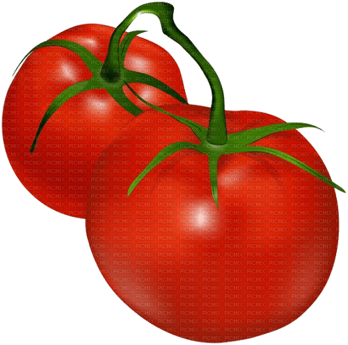 Tomaten, tomatoes - 免费PNG