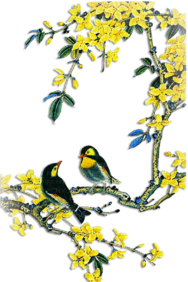 soave deco bird spring branch flowers  yellow blue - darmowe png