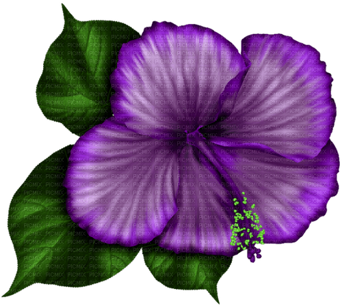Tropical.Flower.Purple - Free PNG