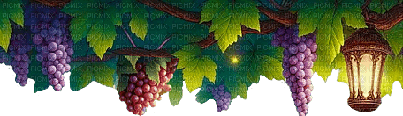 Ramas de uvas en el árbol - png gratuito