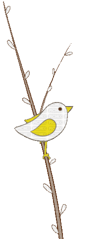 Oiseaux Blanc Jaune:) - Gratis animeret GIF