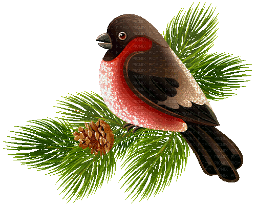 vogel bird winter milla1959 - Безплатен анимиран GIF