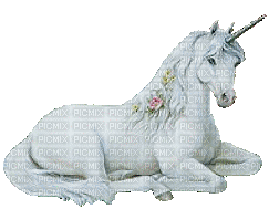 unicorn - GIF animado grátis