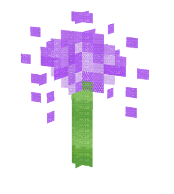 Another allium - zadarmo png
