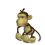 monkey - Бесплатный анимированный гифка
