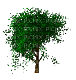 Marcia gif árvore - Besplatni animirani GIF