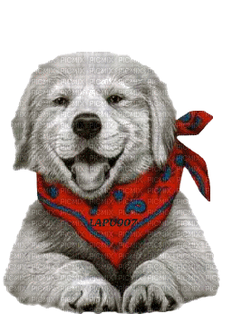 chien ( - Бесплатный анимированный гифка