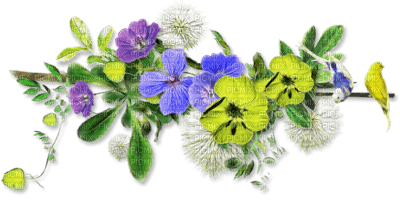 Déco fleurs - png grátis