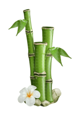 bambou - kostenlos png