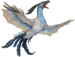 fantasy bird - 免费PNG