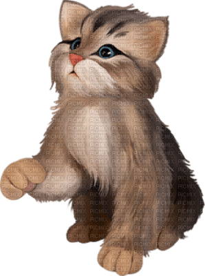Kaz_Creations Cats Cat Kittens Kitten - png ฟรี