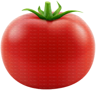 tomate - gratis png