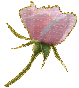 pink rose deco gif - Animovaný GIF zadarmo
