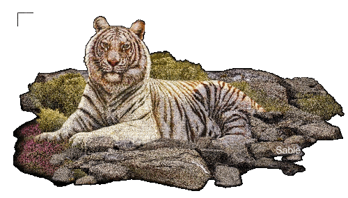 glitter white tiger - Animovaný GIF zadarmo