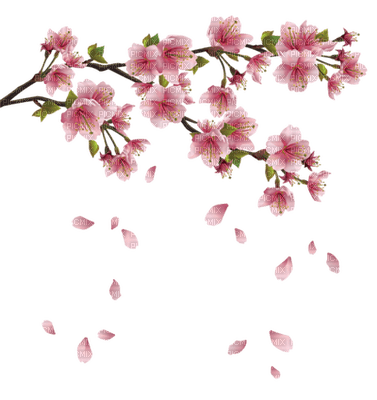 Kaz_Creations Spring Branch  Flowers - PNG gratuit
