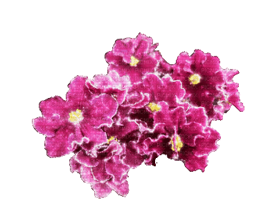fleur violette.Cheyenne63 - Besplatni animirani GIF